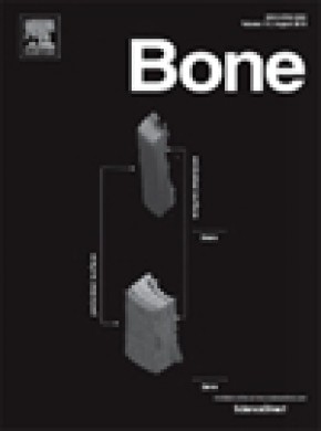 Bone杂志