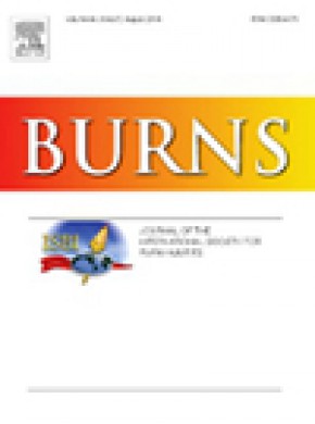 Burns杂志
