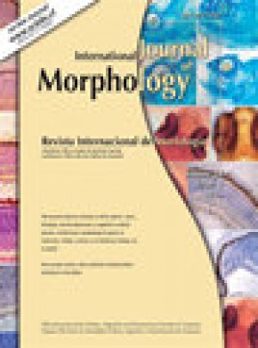 International Journal Of Morphology杂志