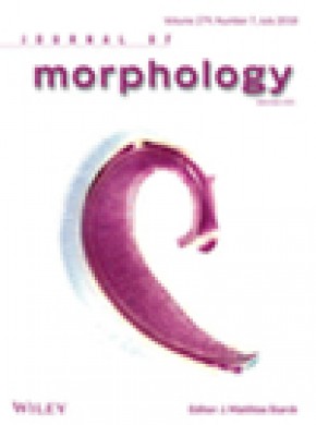 Journal Of Morphology杂志