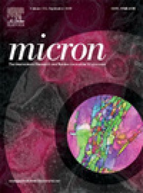 Micron杂志