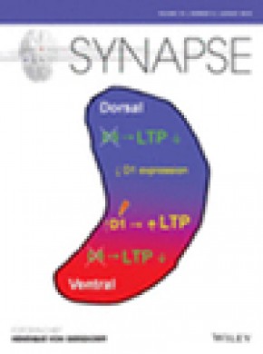 Synapse杂志