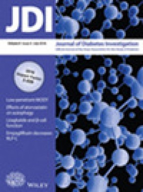 Journal Of Diabetes Investigation杂志