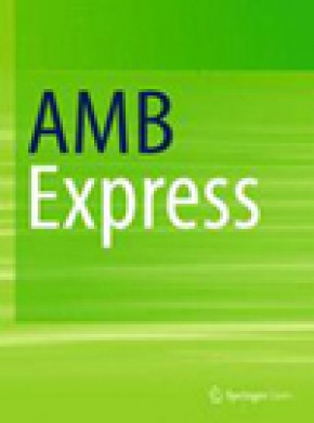 Amb Express杂志