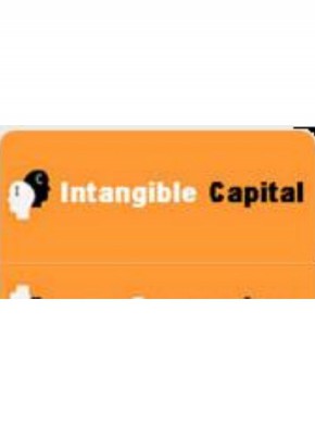 Intangible Capital杂志