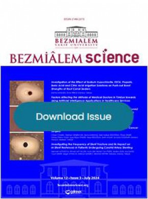 Bezmialem Science杂志