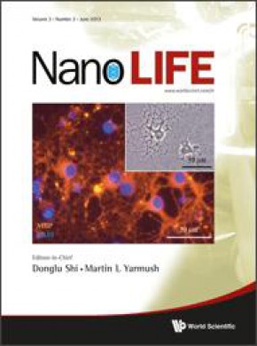 Nano Life杂志