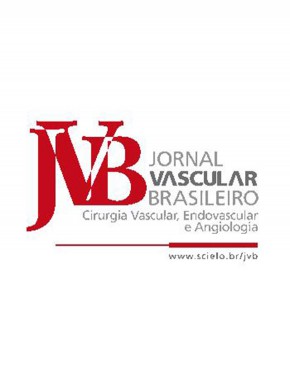 Jornal Vascular Brasileiro杂志