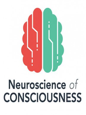 Neuroscience Of Consciousness杂志