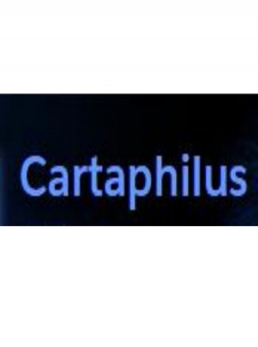 Cartaphilus杂志