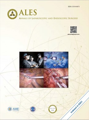 Annals Of Laparoscopic And Endoscopic Surgery杂志