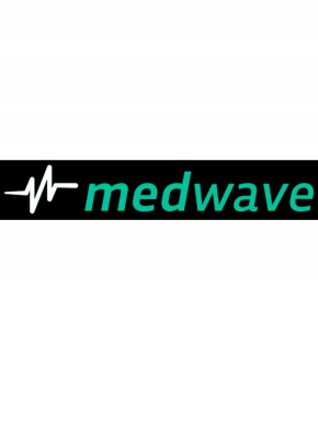 Medwave杂志