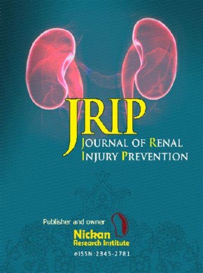 Journal Of Renal Injury Prevention杂志