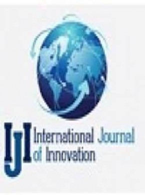 International Journal Of Innovation杂志